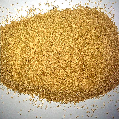 Amaranth Seed