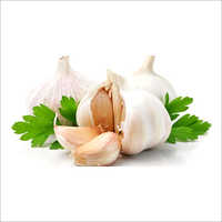 Garlic (Lahsun)