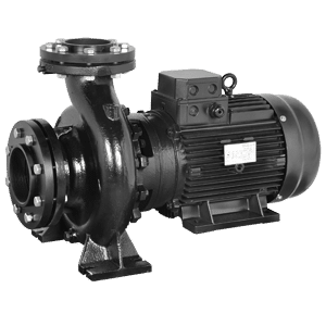 End Suction Monobloc Pumps