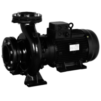 End Suction Monobloc Pumps