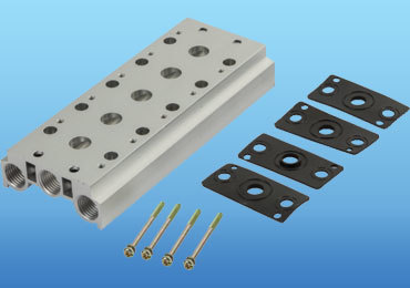 Stainless Steel Manifold