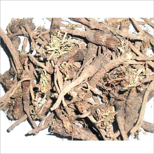 Dried Akarkara Roots