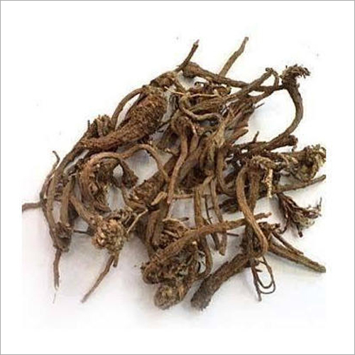Akarkara Herbs Roots
