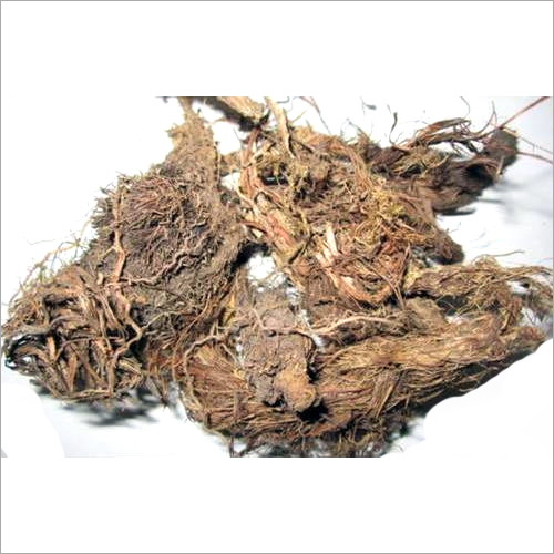 Dried Jatamansi Roots