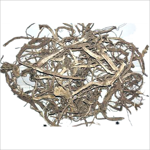 Coleus Dry Roots