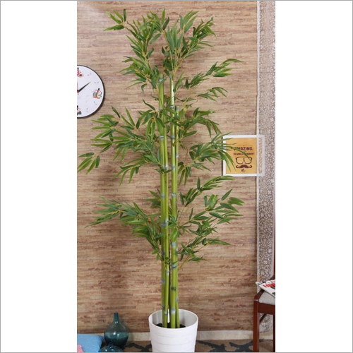 Indoor Plants - Plastic Material, 60 Inches Tall, 10 Inch Pot Size, Green Color, 6 Artificial Stems with Plastic Pot
