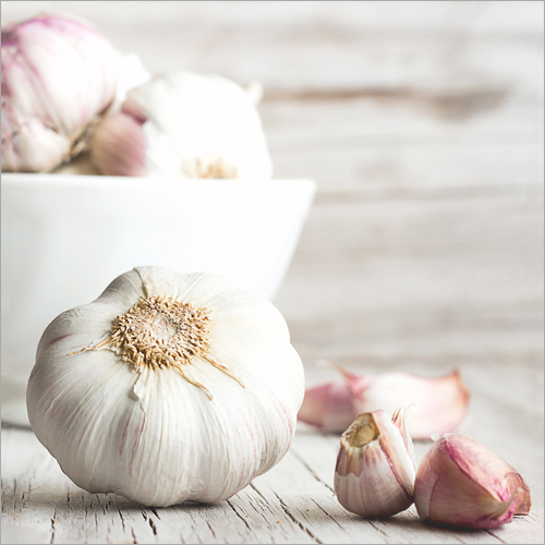 Fresh Garlic Fresh Garlic