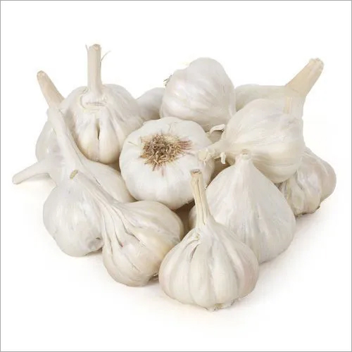 Garlic White