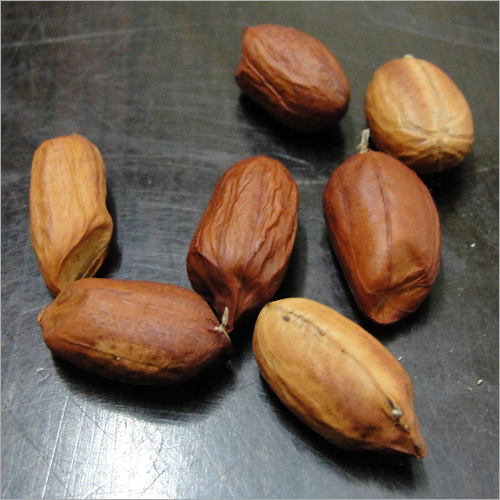 Ground Nut