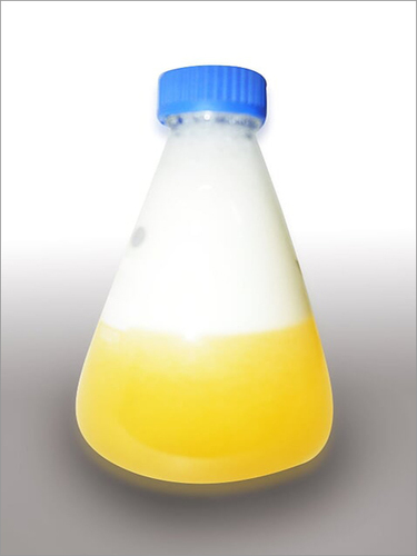 Biosolv c6 ARAFFF Conc. 3-6 2