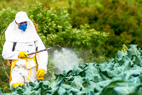 Agricultural Pesticides
