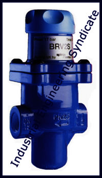 Forbes Marshall Bellow Valve