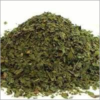 Dehydrated Coriandor Leaves