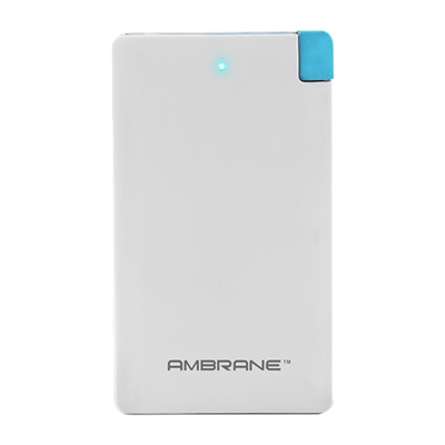 Ambrane PP-41 Power Bank - 4000mAh Lithium Battery, Slim Plastic Body, Rotatable Design, Long Lasting Backup, Portable Charging Solution