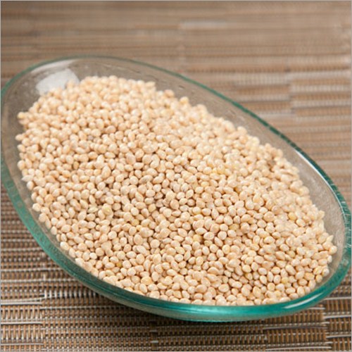 Proso Millet