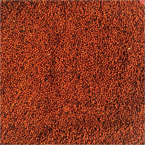 Red Millet
