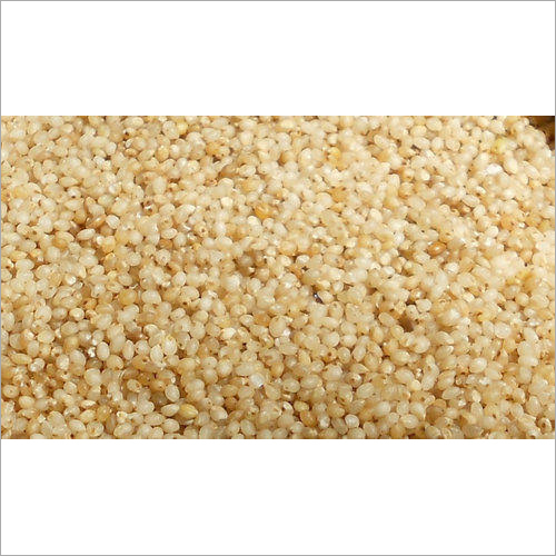 Little Millet