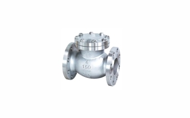 Check Valves