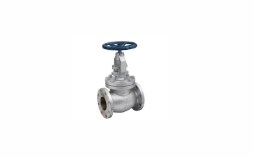Globe Valves