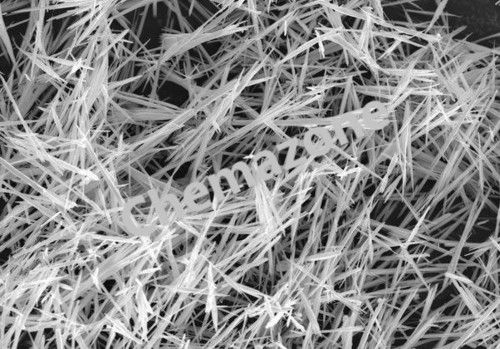 Lead Titanate Nanowires