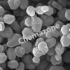 MESOPOROUS CARBON MATERIALS MESOPOROUS CARBON MATERIALS