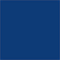 Disperse Blue 165 (200%)