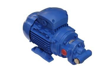 Rotary Gear Pump Type HGCX