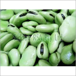 Green Broad Beans