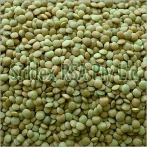 Green Lentils