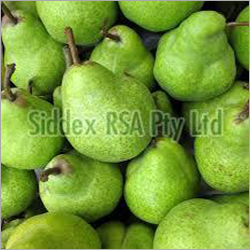 Fresh Pears By SIDDEX RSA
