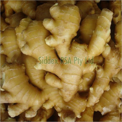 Fresh Ginger