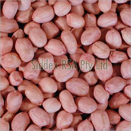Peanut Kernel