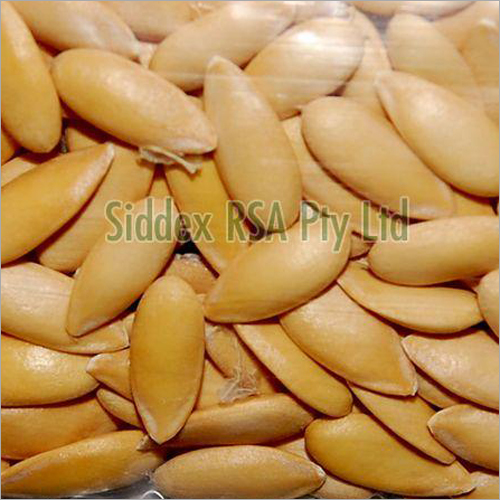 Muskmelon Seeds