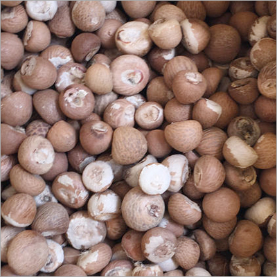 Betel Nuts