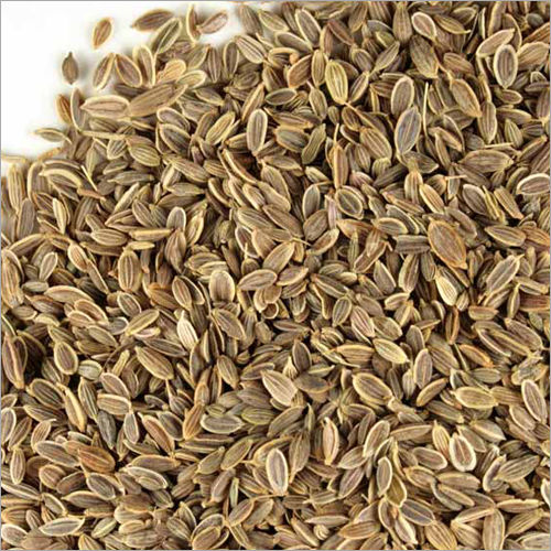 Organic Dill Seed