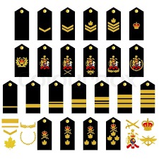Military Epaulettes