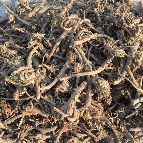 Dried Herbs Akarkara Roots