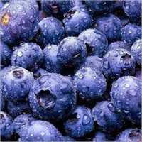 Frozen Blueberry - 10-16mm Size, Rich Blue Color | Premium Quality, Antioxidant-rich Flavor, Hygienically Grown, 1kg Bag, 12 Months Shelf Life