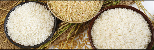 Sugandha  Raw Rice