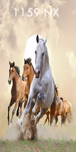 Laminate Sheet - 8ft x 4ft | Durable Multi-Layered Material, Thick Sections Resistant to Cracking