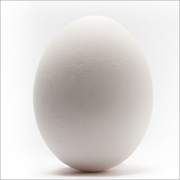 Orgainc Eggs