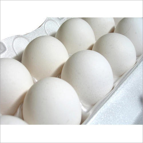 Pure White Eggs
