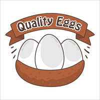 Quality Organic Eggs Egg Weight: 50-52 Grams (g)