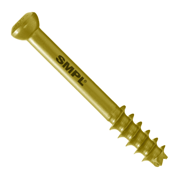 Bone Screws