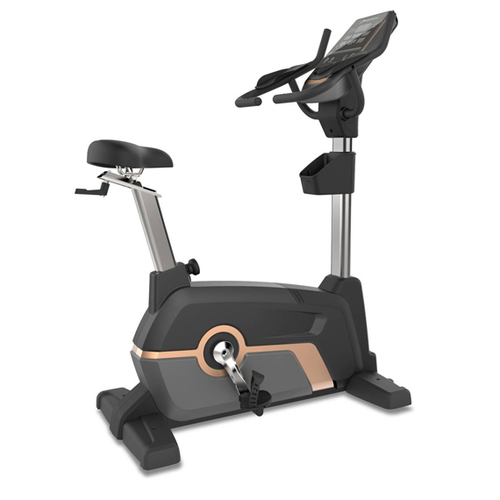 Fiona Upright Bike