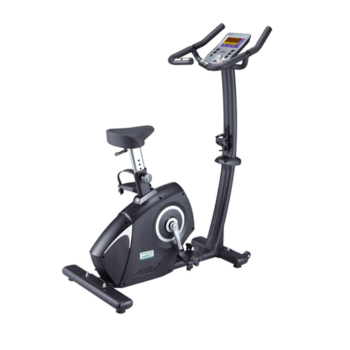 Hailey Upright Bike