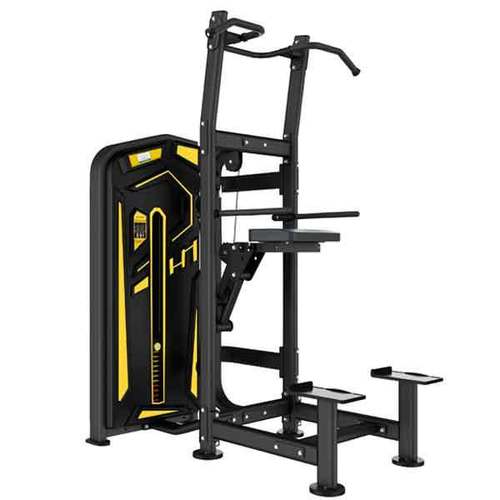 Dip Chin Assisted Machine EVO