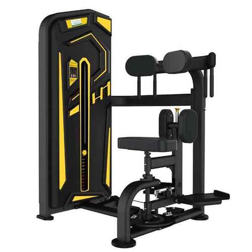 Torso Rotation Fitness World EVO