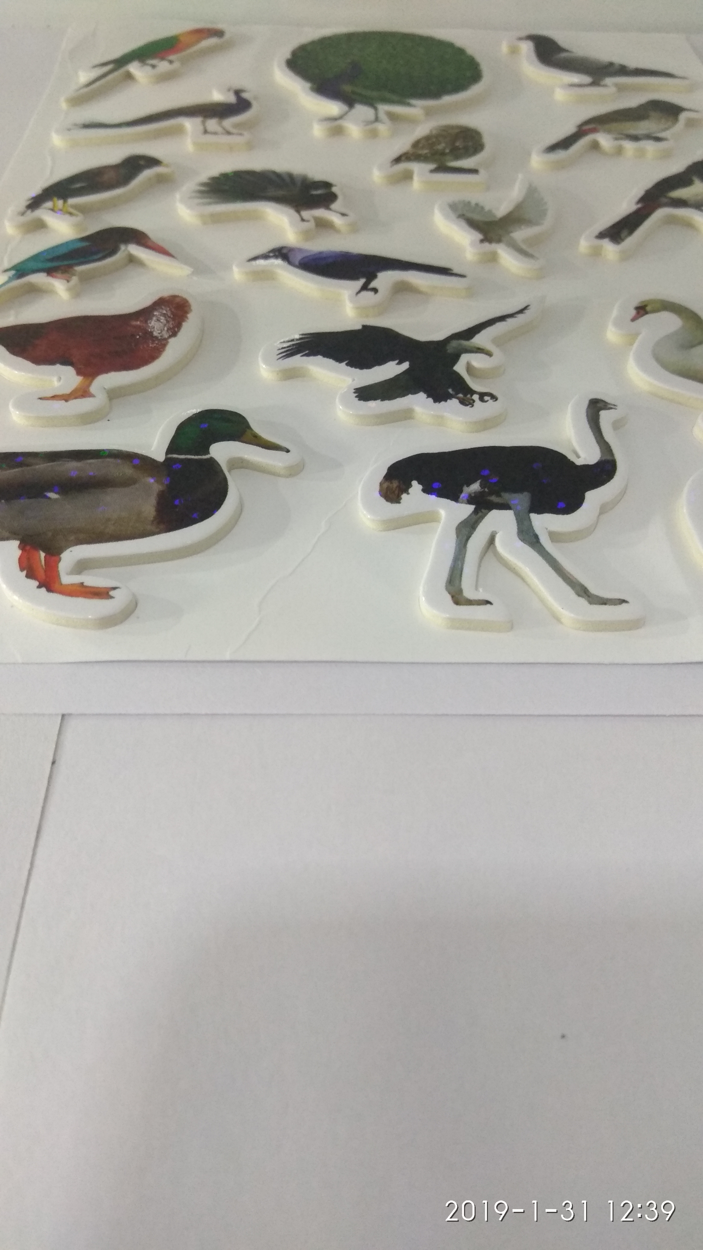 Craft Villa Glare Birds Print Sticker