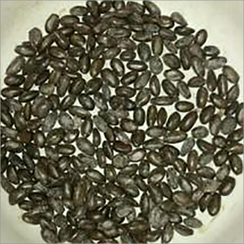 Sitaphal Seeds